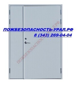 Дверь противопожарная 1150х2075 мм. EI 60 (RAL 7035) - ПОЖАРНАЯ БЕЗОПАСНОСТЬ