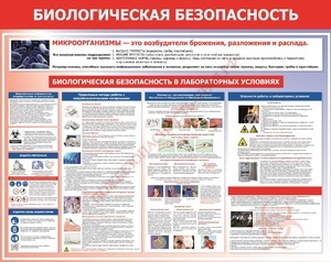 Стенд. Биологическая безопасность. 950х1200 - ПОЖАРНАЯ БЕЗОПАСНОСТЬ